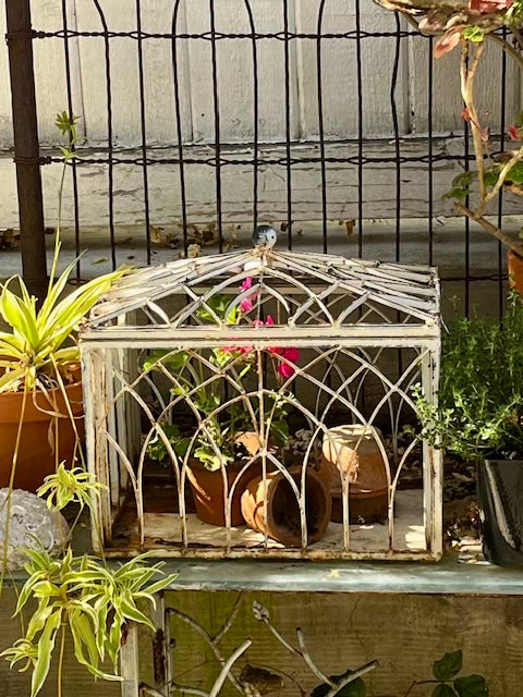 Metal Terrarium
