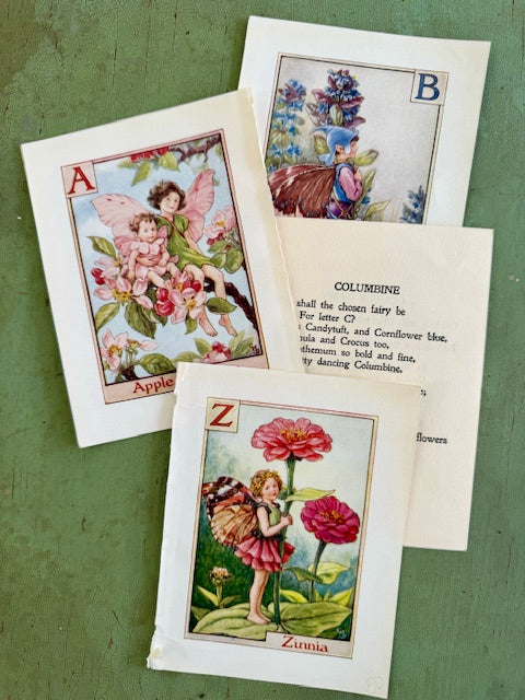 Alphabet set of flower fairies by Cecily Mary Baker